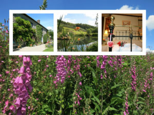 Huxtable Farm B&B Accommodation Devon Exmoor