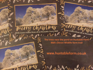 Merry Christmas from Devon Farm B&B