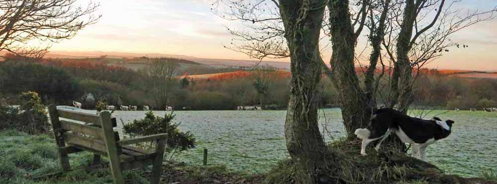 Frosty morning, looking South towards Dartmoor, across Devon's patchwork countryside