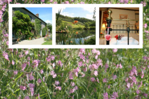 Huxtable Farm bed and breakfast Devon near Barnstaple, South Molton & Exmoor