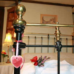 'Blue-for-get-me-not' double bedded en-suite bedroom