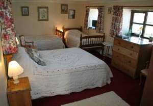 Families Welcome Devon B&B 