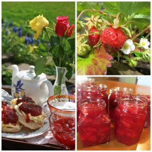 Devon Cream tea, with home-made scones and strawberry jam, welcome to Huxtable Farm B&B, North Devon near Exmoor