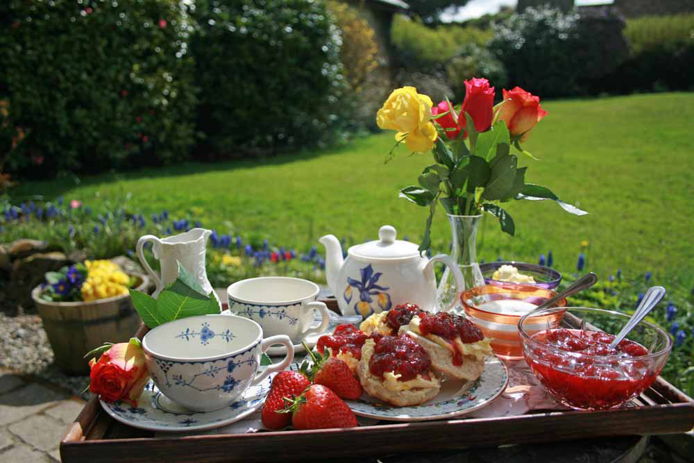 Devon-Cream-Tea-welcome on arrival