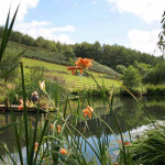 Huxtable Farm B&B pond on Devon Wildlife Trail