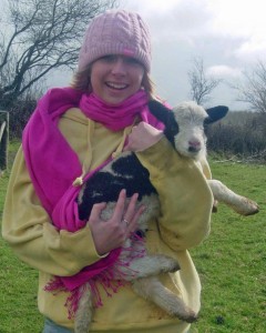 Cuddling Jacob sheep lamb at lambing time