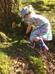 Looking for fairy doors