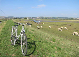 Cycling the Braunton Burrows, Devon