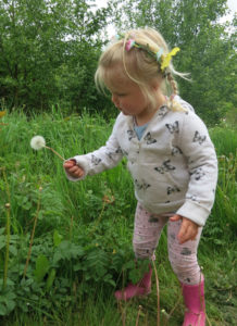 Pick a dandelion & blow :)
