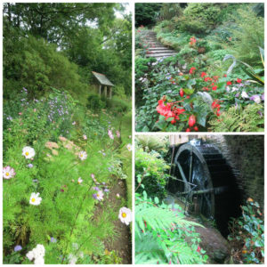 Docton Mill Gardens, Hartland, Devon
