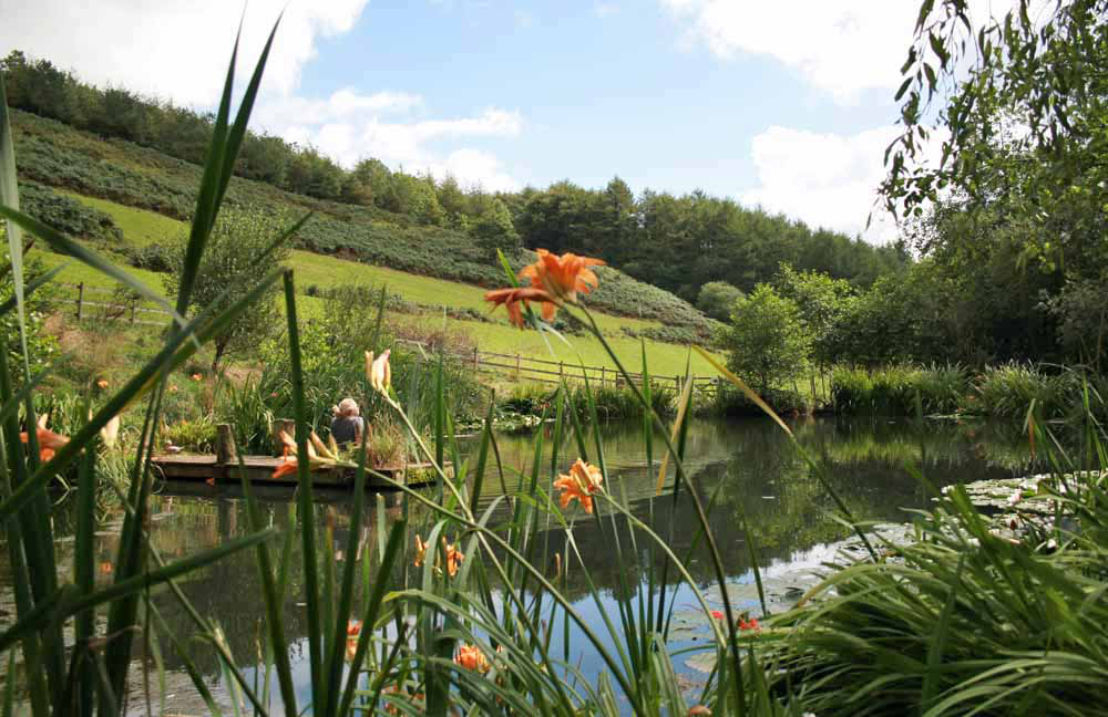 Huxtable Farm B&B Pond on Devon Wildlife Farm Trail
