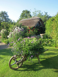 RHS Rosemoor Gardens, Devon