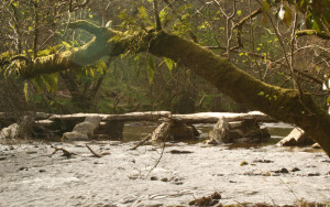 Tarr Steps Exmoor