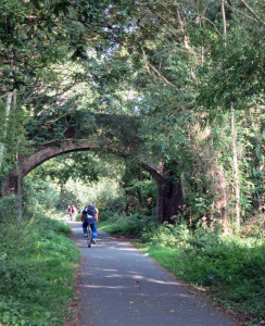 Cycling theTarka Trail, North Devon