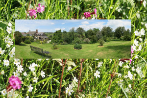 Gardenand farmhouse B&B near Barnstaple
