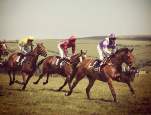 Point-to-point racing in North Devon (Bratton Down & Umberleigh)