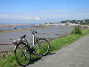 Tarka Trail cycle route near Instow