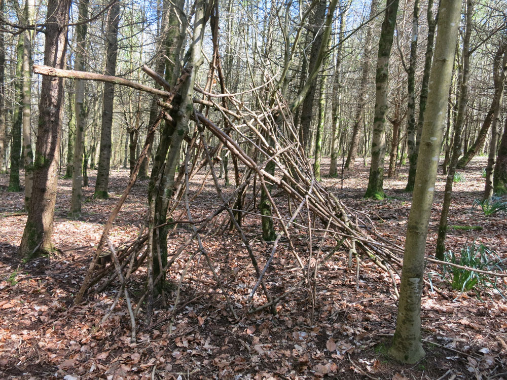 Build a den in the woods