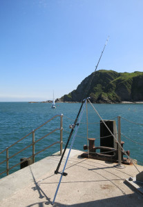 Sea fishing at Ilfracombe harbour Devon