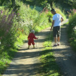 Walk the Devon Wildlife Farm Trail