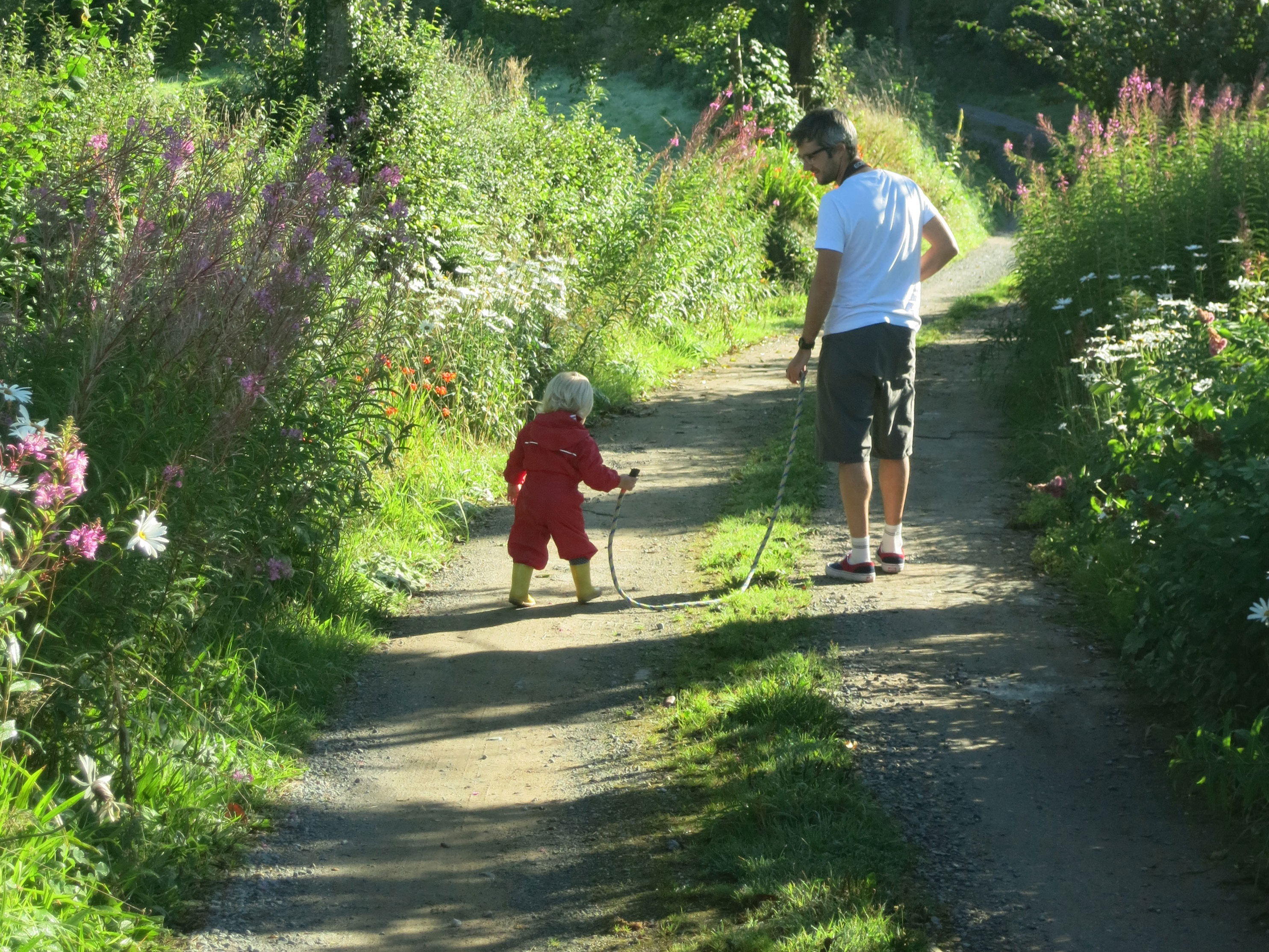 Walk the Devon Wildlife Farm Trail