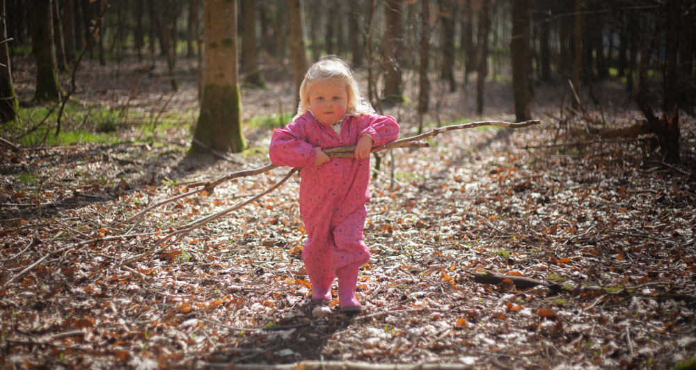 Picking up sticks in Huxtable Farm's Woodland