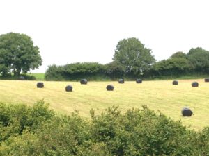 Baled & wrapped