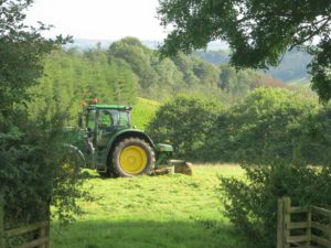 Mowing the grass to make hay at farm B&B Devon