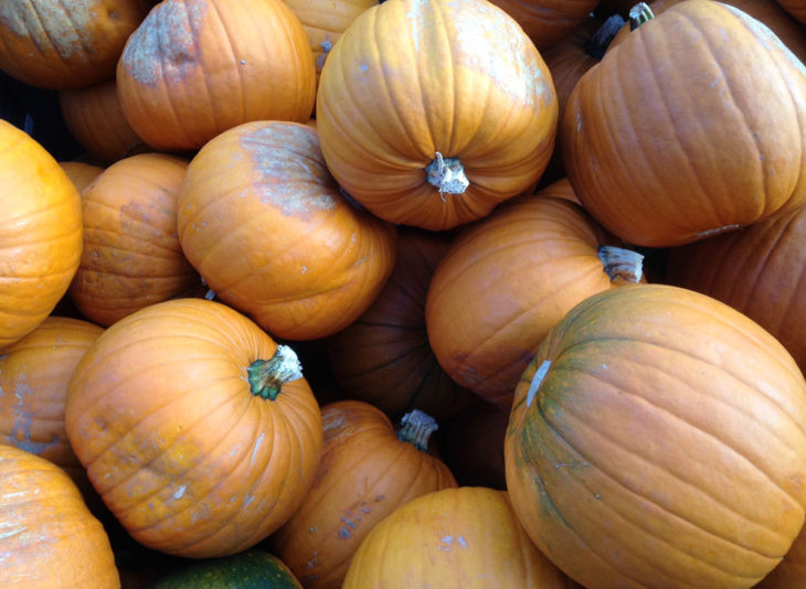 Pumpkins - Halloween and October Half Term