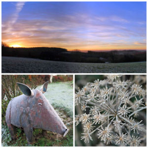February; Snowdrops, daffodils and coastal walks whilst at Huxtable Farm bed and breakfast, Devon
