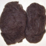 Jacob washed and carded fleece ideal for spinning or felting
