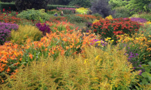 Visit North Devon Gardens including RHS Rosemoor