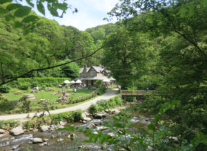 Watersmeet National Trust property near Lynmouth