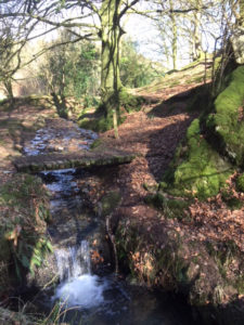 Stream on Devon Wildlife Farm Trail