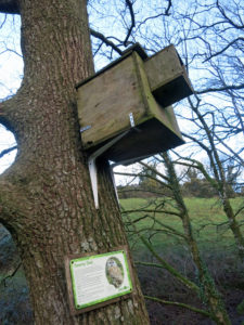 Owl box on Wildlife farm trail