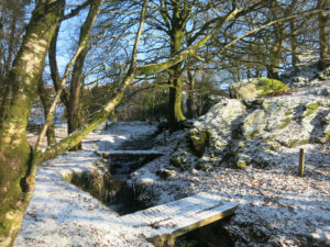 Stream with two bridges on Devon Wildlife farm trail at Huxtable Farm B&B