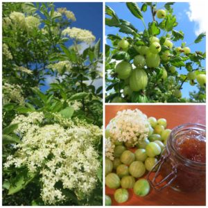 Gooseberry & Elderflower Jam