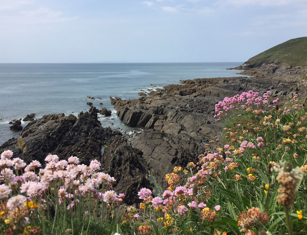 National Trust Baggy Point near Croyde beach