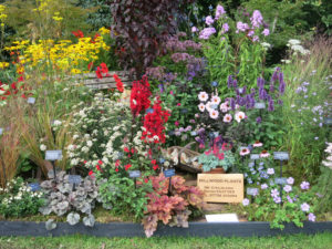 RHS Rosemoor Flower Show