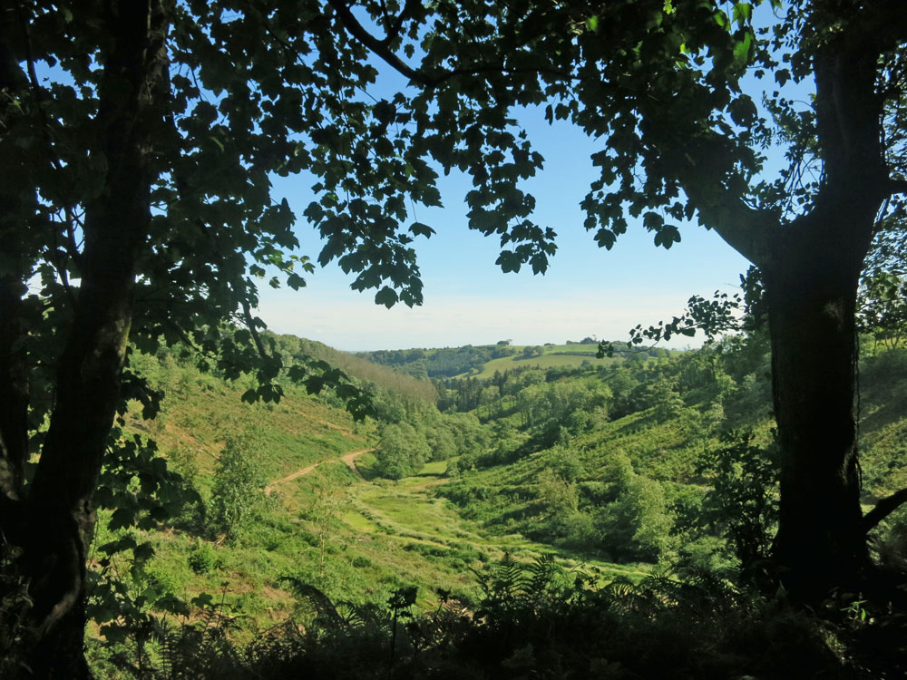 Valley view through trees on Huxtable Farm Devon Wildlife Trail, now that our neighbour has felled a woodland area