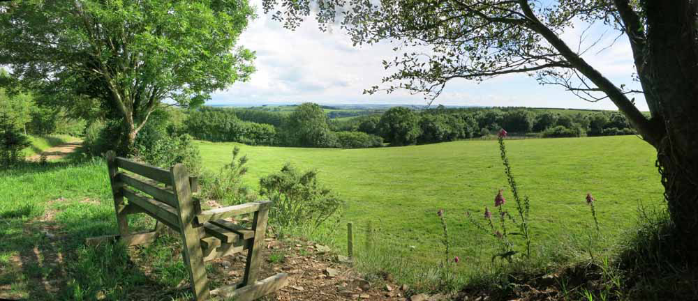 Bench with North Devon view