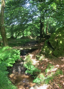 Stream, bridge, waterfall & gateway