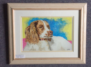 Springer Spaniel - Print of acrylic painting by Jackie Payne £30 (8.25"X11")