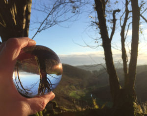 Crystal Ball photo at Huxtable Farm