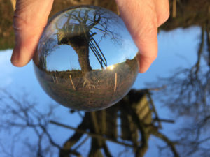 Crystal Ball photo at Huxtable Farm