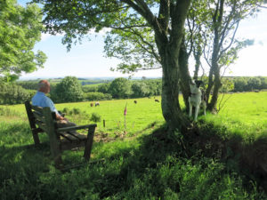 Bench with view on Huxtable Farm Devon Wildlife Walk