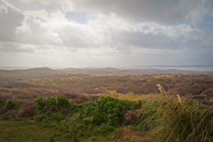 Braunton Burrows