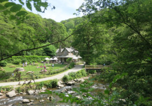 Watersmeet Exmoor