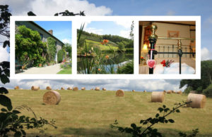 Summer bales