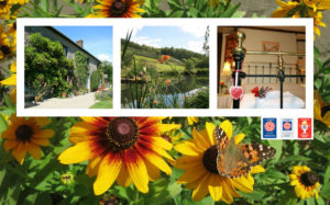 Farmhouse B&B Devon